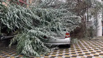 Niğde’de şiddetli rüzgar park halindeki aracı hurdaya çevirdi