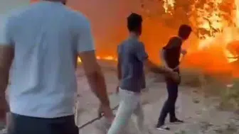 Birecik'te evlerin dibinde korku dolu anlar