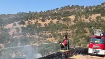 Ayvalık'ta otluk alanda başlayan yangın ormana sıçradı