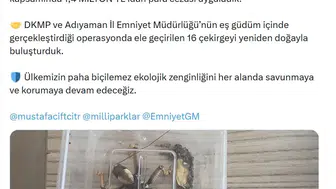 Nemrut Dağı'nda çekirge avına çıkan iki kişiye ağır fatura