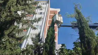 Adıyaman'da ağaçta mahsur kalan yavru kedi kurtarıldı