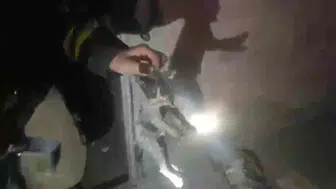 Şanlıurfa'da bodrum katı yangınından iki yavru kedi kurtarıldı