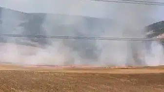 İnegöl’de tarla yangınına yol açan 16 yaşındaki şüpheli yakalandı