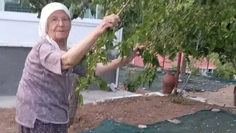 Malatya’da 85’lik çift dut pekmezini geleneklerle yaşatıyor