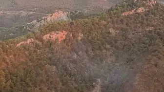 Kemer'de orman yangını söndürüldü
