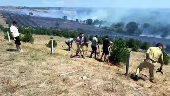 Tekirdağ'da orman yangını paniği