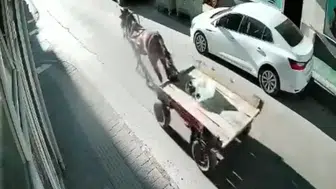 Edirne Uzunköprü'de kontrolden çıkan at arabası ortalığı birbirine kattı
