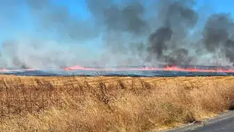Tekirdağ'da anız yangını 25 dönüm alanı kül etti