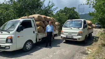 Fındık üreticisine uyarı Acele etmek kazancınızı düşürür