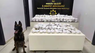 Mersin Limanı ve Mezitli’de büyük uyuşturucu operasyonu