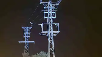 Leyleklerin göç molası Afyonkarahisar’da elektriği kesti