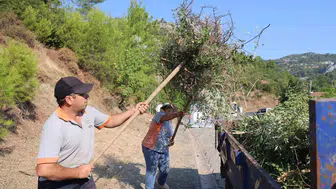 Marmaris Beldibi’nde yangınlara karşı temizlik seferberliği başladı