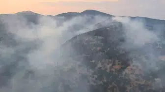 Aydın Kuyucak’ta orman yangını yedi saattir devam ediyor