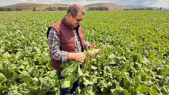 Bakan Yardımcısı Ayhan’dan köklerine duygusal bir selam