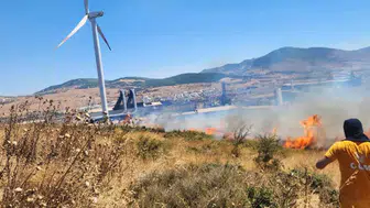 Aliağa'da alevler fabrikalara sıçramadan söndürüldü