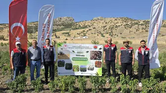 Şırnak toprakları yeniden üretime açıldı