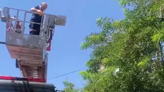 Bitlis'te ağaca takılan kargayı itfaiye ekipleri kurtardı