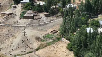 Yüksekovalı besicilerin 30 yıllık su çilesi bitmiyor