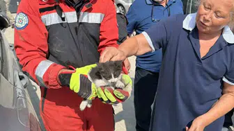Muğla’da otomobilin motoruna giren kedi için ekipler seferber oldu