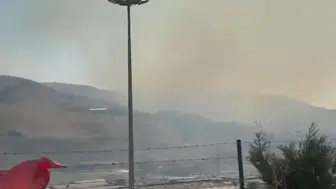Hatay'da ormanlık alanda yangın alarmı