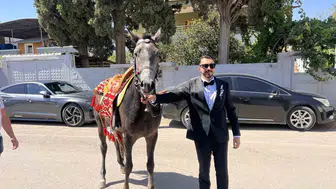 Hatay'da atlı düğün konvoyu trafiğe takıldı