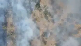 Balıkesir'de orman yangını alarmı