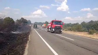 Edirne Meriç'te orman yangını kontrol altına alındı