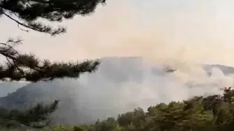 Bolu Göynük ormanlarında alevler yükseliyor