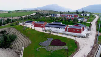 Denizli Belediyesi barınak hakkındaki iddialara yargı yoluna başvurdu
