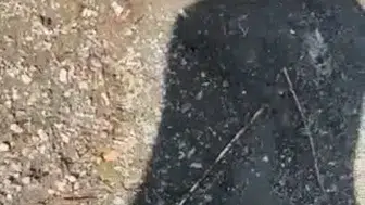 Hazar Gölü kıyısında yılanlı şaka dehşet anları yaşattı
