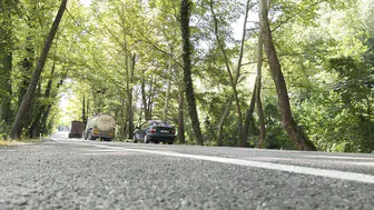 Bartın'da doğanın oluşturduğu o meşhur ağaç tünel yolu