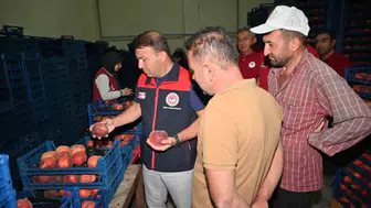 Şeftali tarladan sofraya nasıl geliyor? Müdür yerinde inceledi?