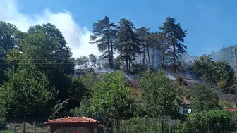 Sinop’ta çöpleri yakarken ormanı ateşe veren kişiye tutuklama