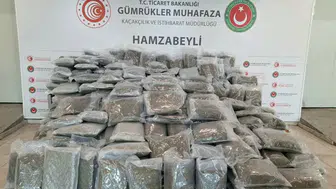 Romanya'dan gelen TIR'da 288 kilo esrar yakalandı