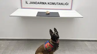 Eyyübiye'de jandarmadan uyuşturucuya geçit yok 250 kilogram bonzaiye eş değer madde ele geçirildi