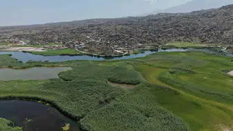 Ağrı Dağı'nın eriyen karları Karasu Sazlığı'nı cennete çevirdi