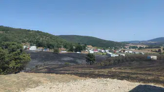 Tarladan Ormana Sıçrayan Yangına 1 Saatte Müdahale