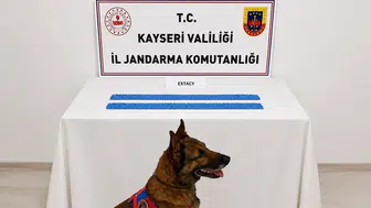 Kayseri jandarmasından zehir tacirlerine ağır darbe