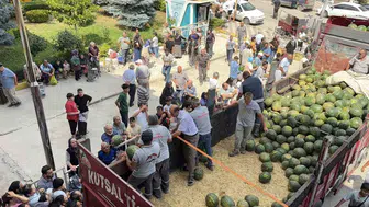 Zileli çiftçiden 20 tonluk karpuz ziyafeti