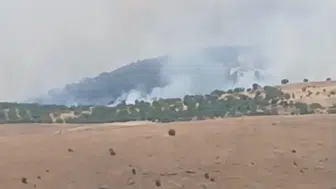 Pütürge’de orman yangını paniği