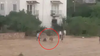 İneğin ipi kurtuldu, sahibiyle kovalamaca başladı