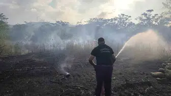 Defne’de Bahçe Yangınına Erken Müdahale Alevler Büyümeden Söndürüldü