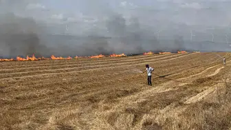 Silivri’de dev yangın TEM Otoyolu’nu kilitledi