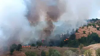 Pütürge yangınına havadan ve karadan müdahale ile kontrol geldi