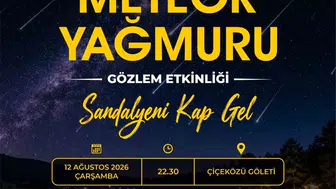Yenişehir'de yıldız yağmuru Çiçeközü Göleti'nde izlenecek