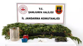 Akçakale'de uyuşturucu baskını Jandarma adrese operasyon düzenledi