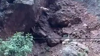 Tunceli'nin sarp kayalıklarında dağ keçilerinin şaşırtan atlayışları