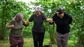 Trabzon'da fındık mesaisi horonla şenlendi