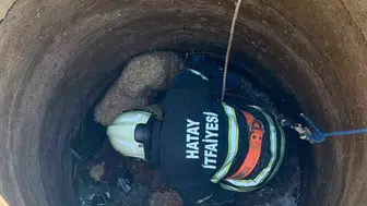Antakya’da kuyuya düşen koyunlar itfaiye yardımıyla kurtarıldı
