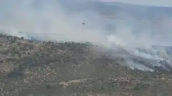 Balıkesir Altıeylül'de ormanlık alanda yangın başladı